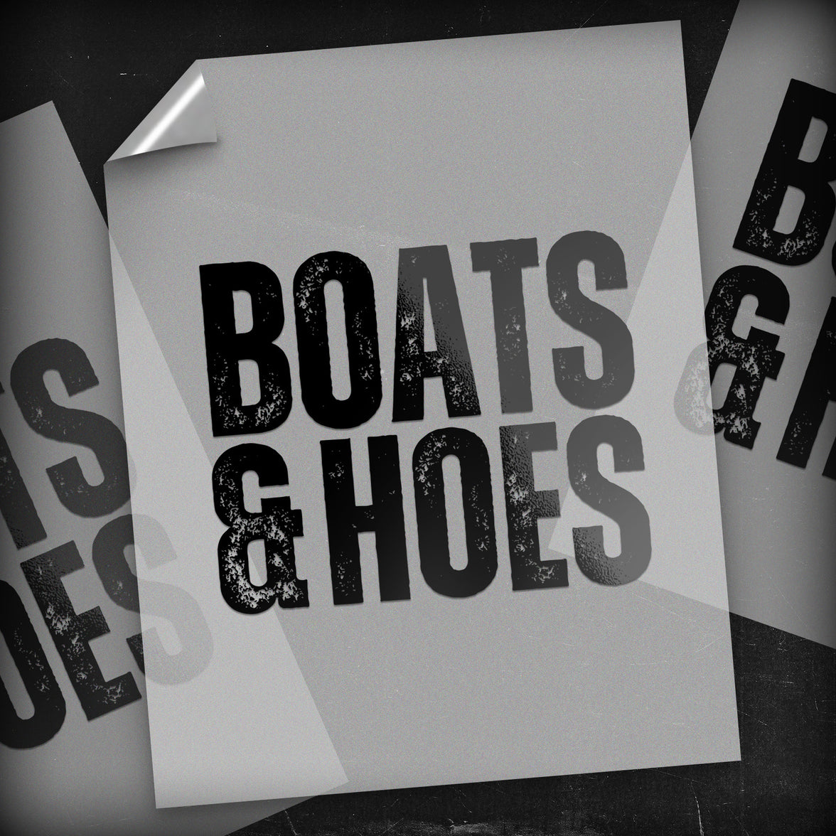 Boats N Hoes - DTF Transfer
