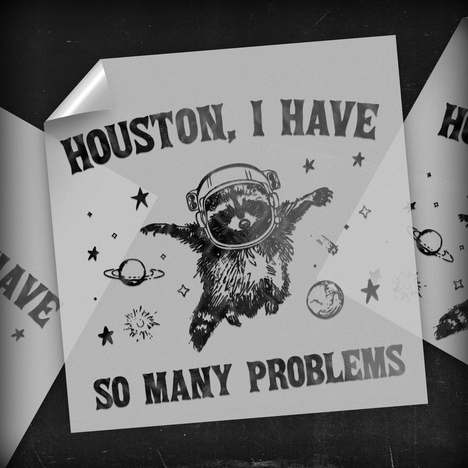 Houston I Have So Many Problems - DTF Transfer