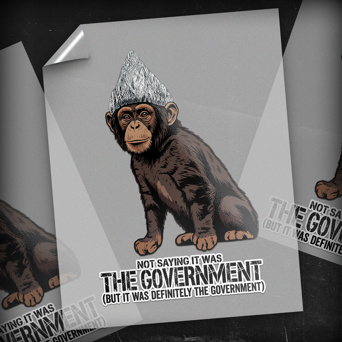Not Saying It Was The Government - DTF Transfer